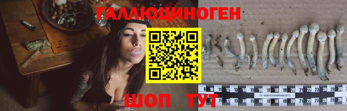 Галлюциногенные грибы Psilocybe  купить наркотик  Реутов  Псилоцибиновые грибы мухоморы  Вход с VPN 