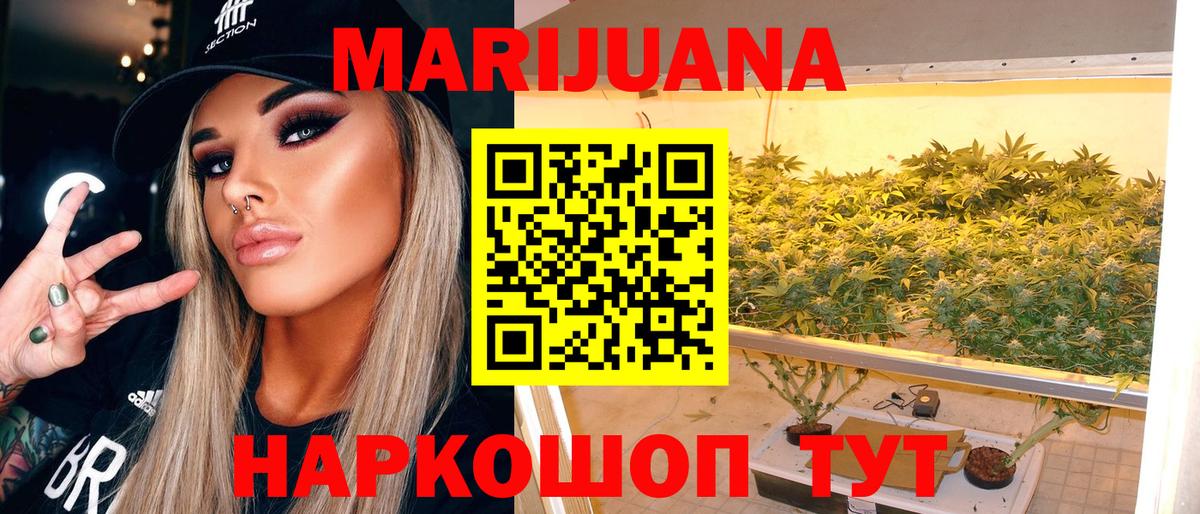 Каннабис сатива Реутов